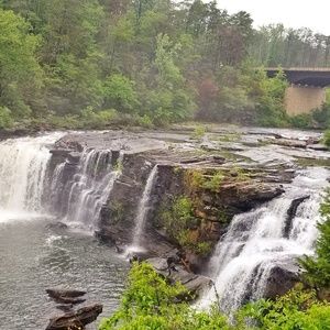 Meet your Posher, Annie